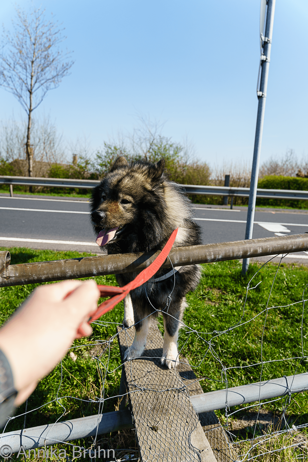 Ab über den Zaun